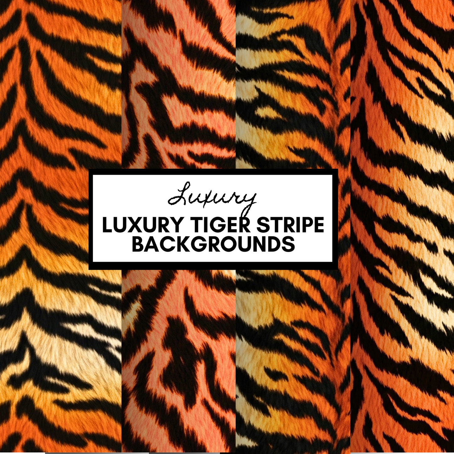 Luxury Tiger Stripe Backgrounds | Digital Texture Bundle (4 Pack)