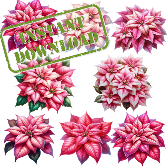 Pink Poinsettias PNG Bundle