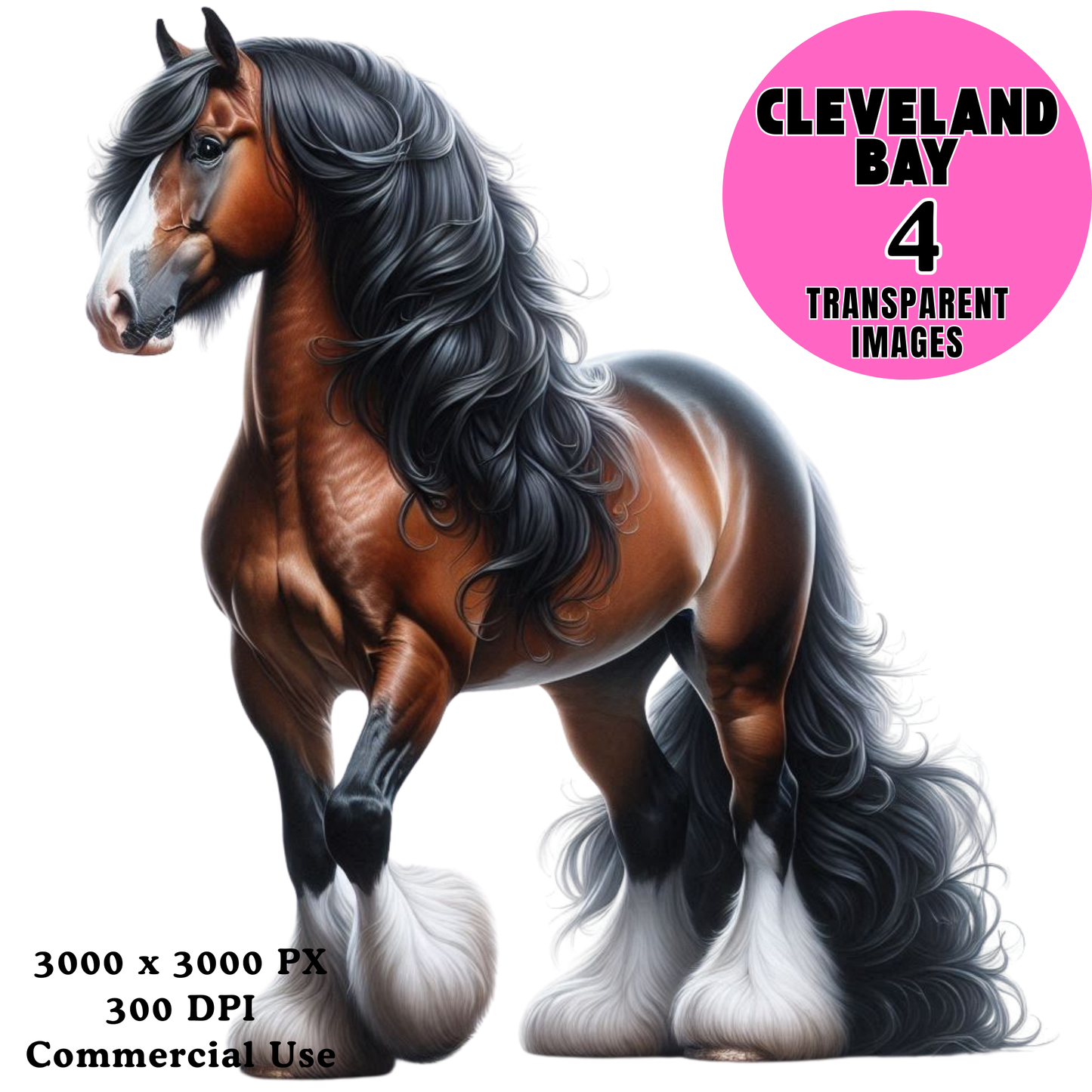 Cleveland Bay Horse PNG Bundle – 4 Realistic Horse Clipart Transparent