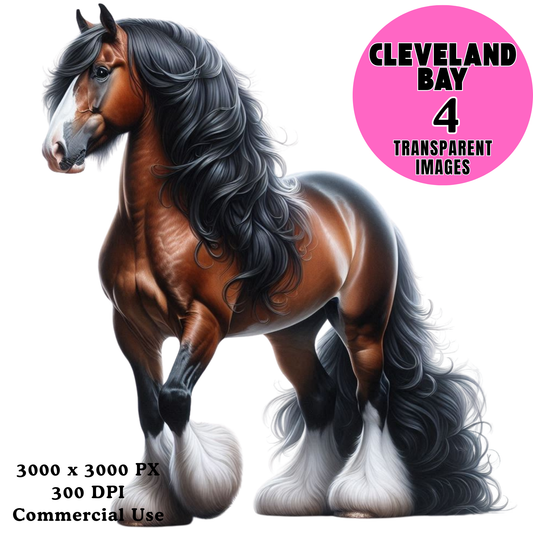 Cleveland Bay Horse PNG Bundle – 4 Realistic Horse Clipart Transparent