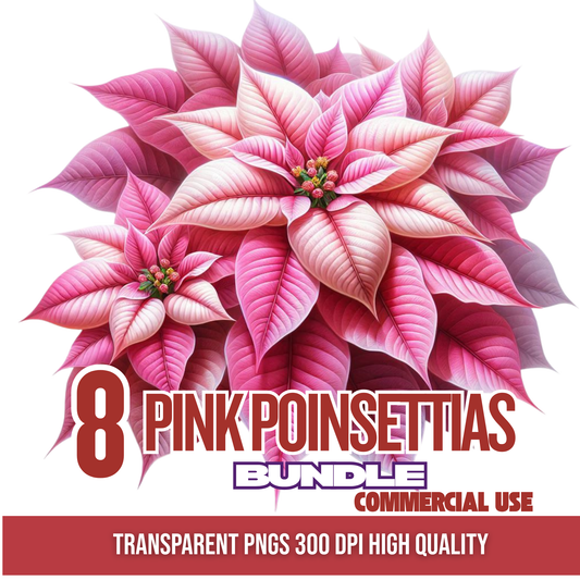 Pink Poinsettias PNG Bundle